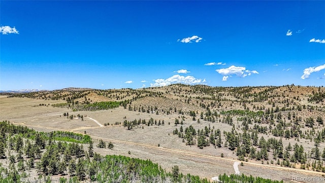 2338 Fitzsimmons Rd, Hartsel, CO 80449