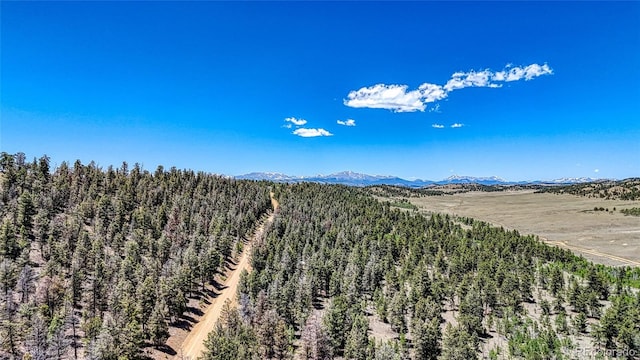 2338 Fitzsimmons Rd, Hartsel, CO 80449