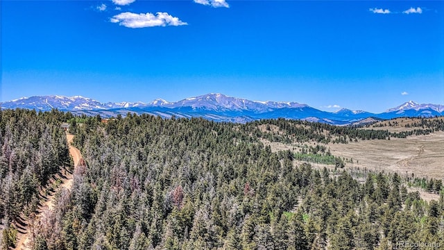 2338 Fitzsimmons Rd, Hartsel, CO 80449
