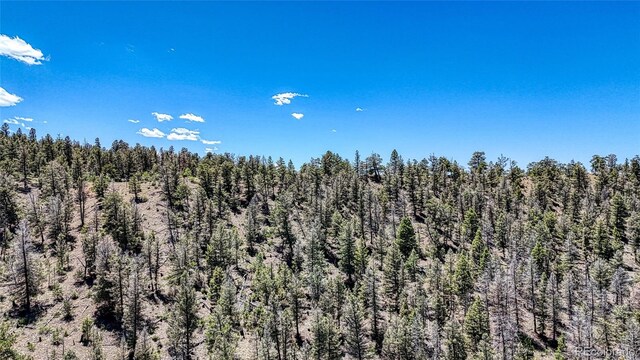 2338 Fitzsimmons Rd, Hartsel, CO 80449