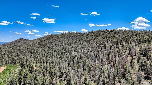 2338 Fitzsimmons Rd, Hartsel, CO 80449