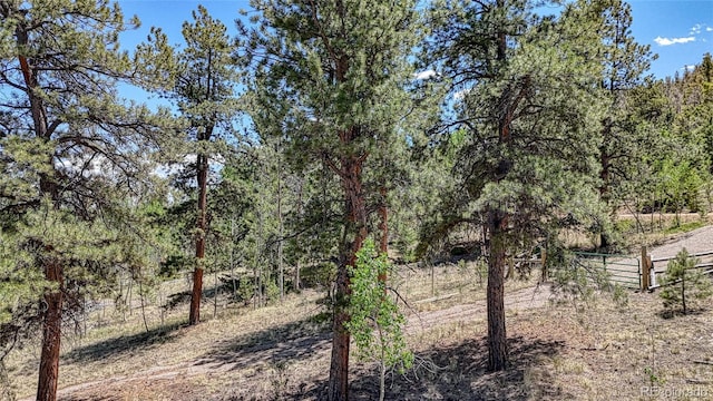 2338 Fitzsimmons Rd, Hartsel, CO 80449
