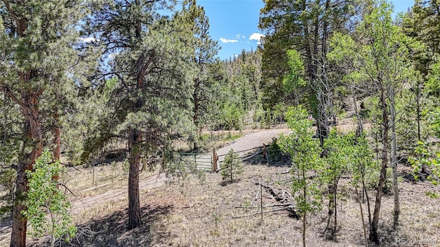 2338 Fitzsimmons Rd, Hartsel, CO 80449
