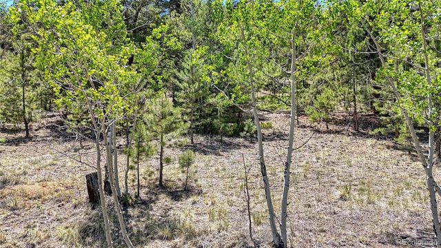 2338 Fitzsimmons Rd, Hartsel, CO 80449