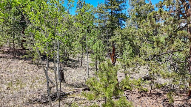 2338 Fitzsimmons Rd, Hartsel, CO 80449