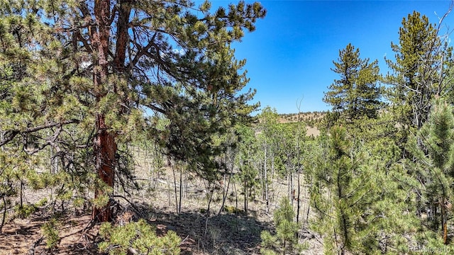 2338 Fitzsimmons Rd, Hartsel, CO 80449