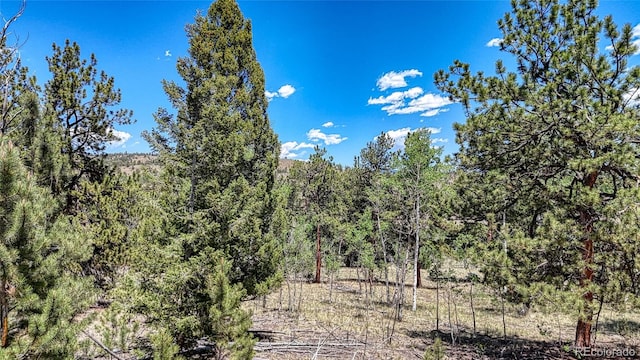 2338 Fitzsimmons Rd, Hartsel, CO 80449