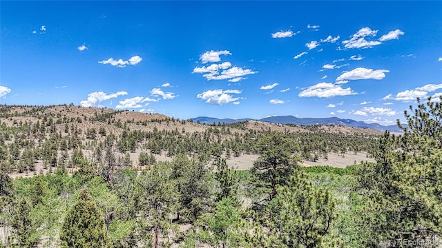 2338 Fitzsimmons Rd, Hartsel, CO 80449