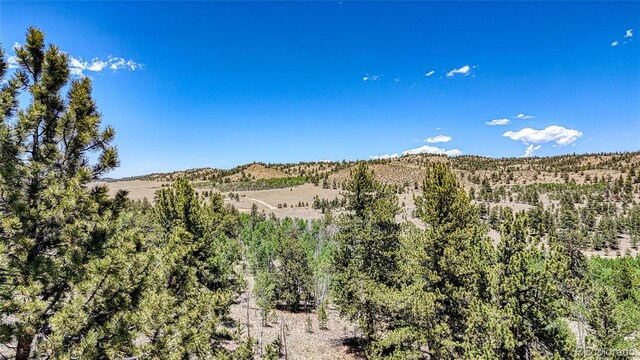 2338 Fitzsimmons Rd, Hartsel, CO 80449