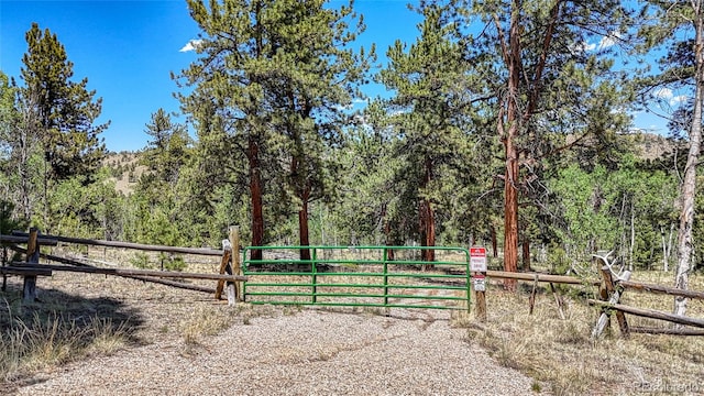 2338 Fitzsimmons Rd, Hartsel, CO 80449