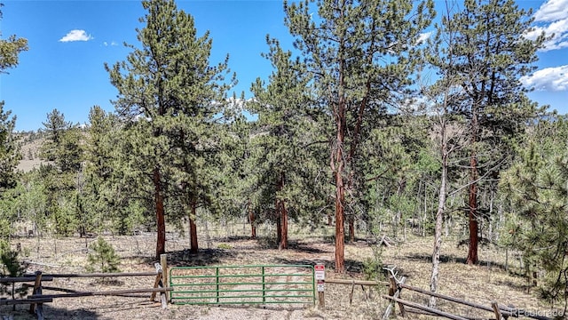 2338 Fitzsimmons Rd, Hartsel, CO 80449
