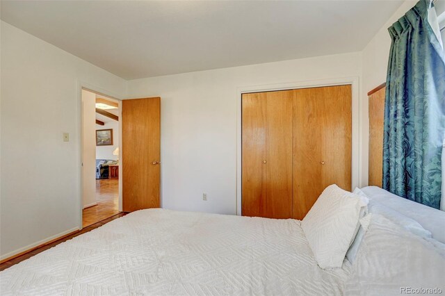 bedroom with wood-type flooring and a closet