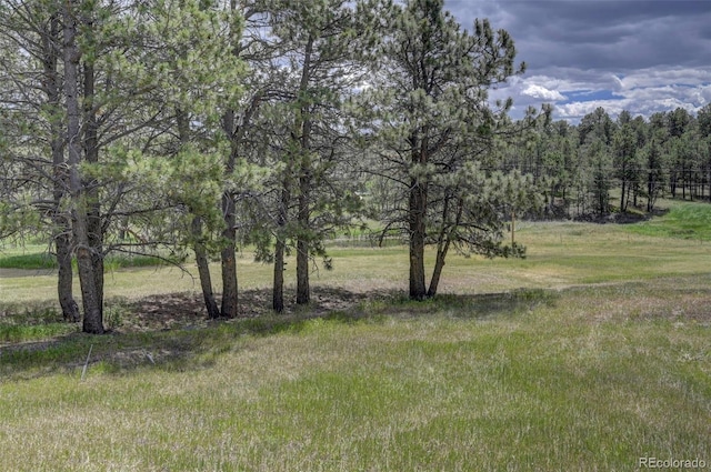 view of landscape