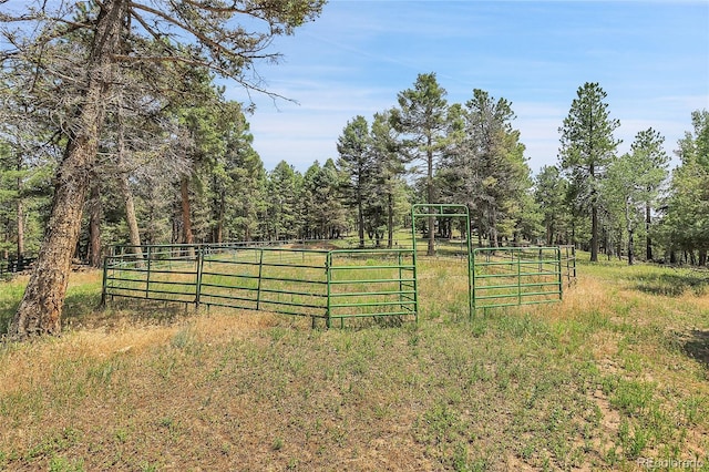 26526 Gray Buck Trl, Conifer, CO 80433 - view of yard with a gate and a wooded view