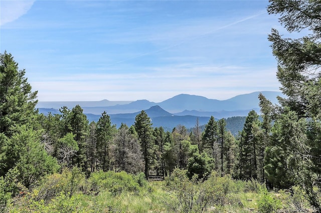 26526 Gray Buck Trl, Conifer, CO 80433 - view of mountain background featuring a forest