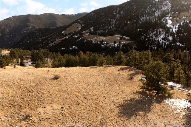 Empire, CO 80438 - photo 23