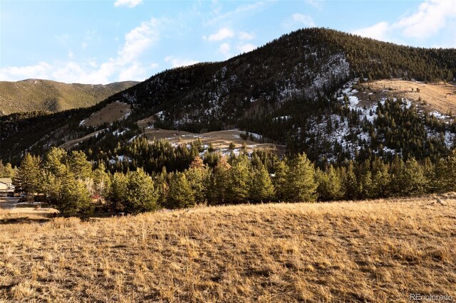 Empire, CO 80438 - photo 27