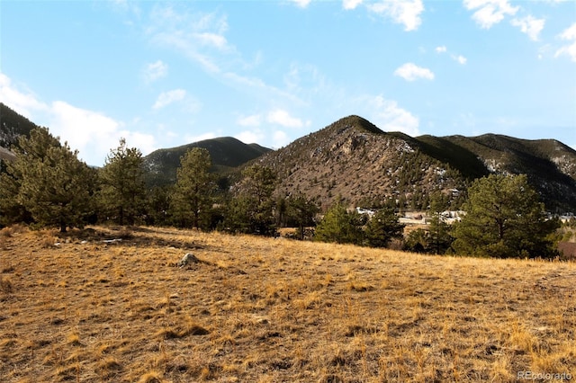 Empire, CO 80438 - photo 28