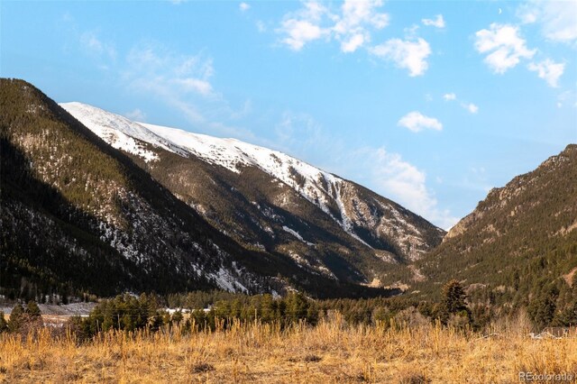 Empire, CO 80438 - photo 32