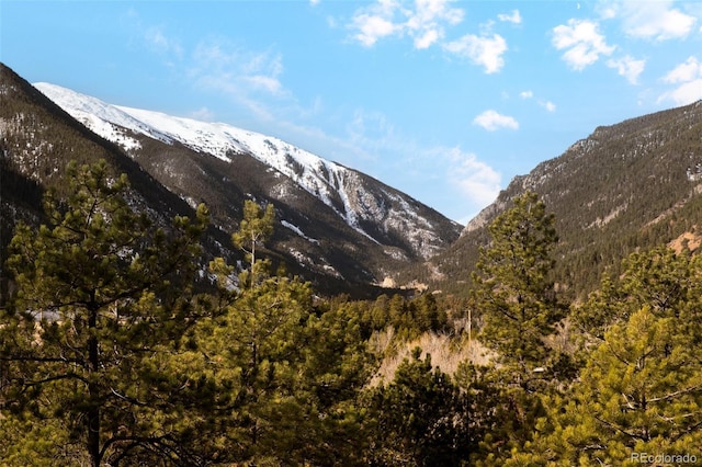 Empire, CO 80438 - photo 33