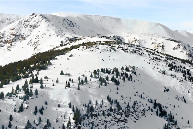 Empire, CO 80438 - photo 38