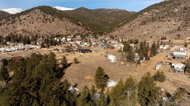 Empire, CO 80438 - photo 42