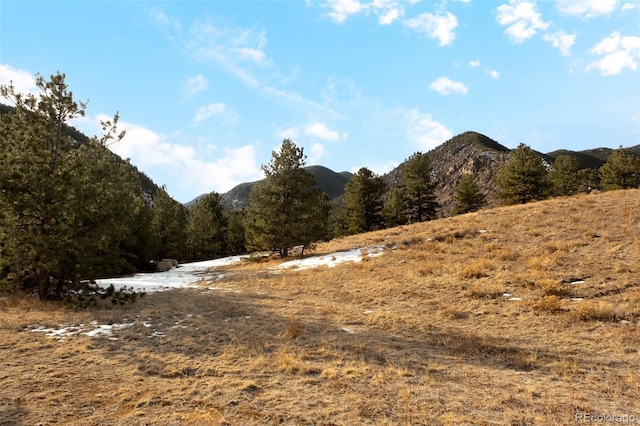 Empire, CO 80438 - photo 25