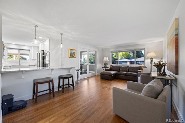 living room featuring baseboards and dark wood-style flooring