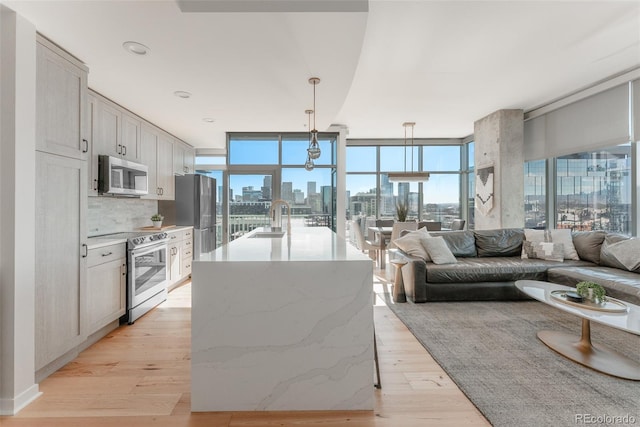 kitchen with a view of city, light wood-style flooring, appliances with stainless steel finishes, expansive windows, and open floor plan