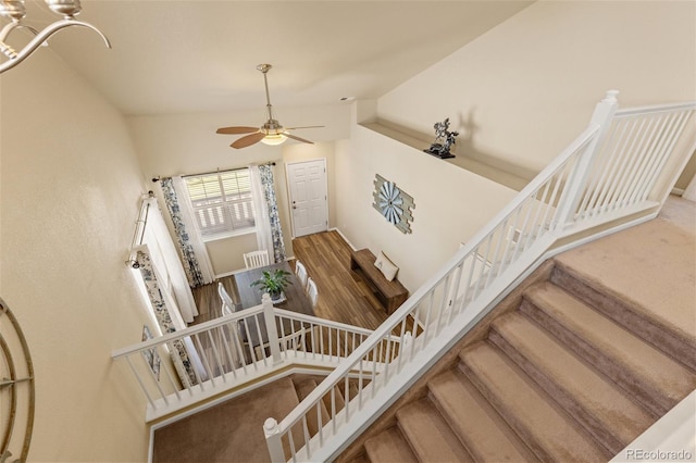217 Peabody St, Castle Rock, CO 80104 - photo 17