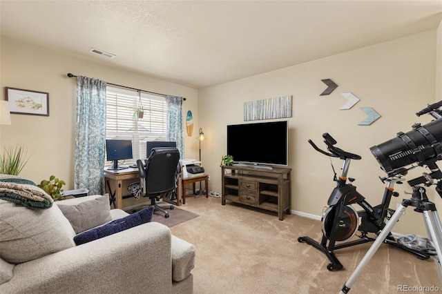 217 Peabody St, Castle Rock, CO 80104 - photo 18
