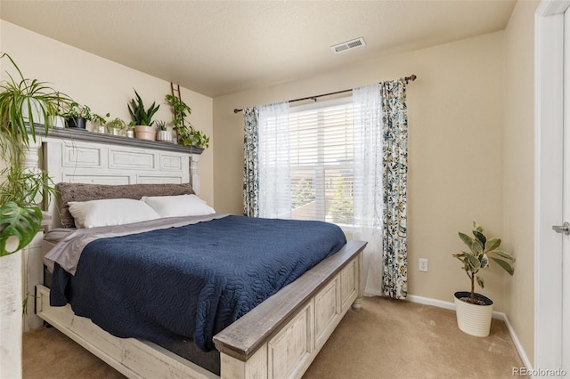 217 Peabody St, Castle Rock, CO 80104 - photo 23