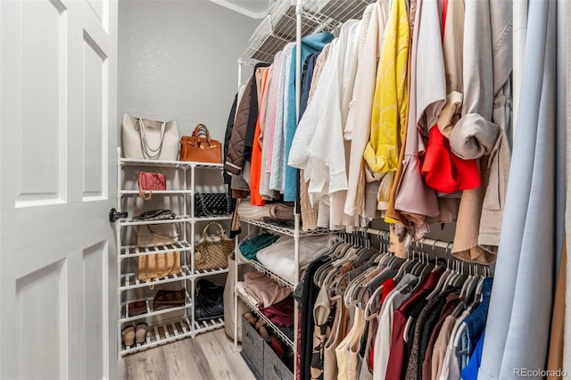 3818 S Dallas St, Aurora, CO 80014 - walk in closet with wood finished floors