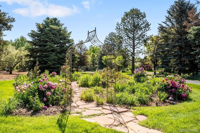 4181 S Colorado Blvd, Cherry Hills Village, CO 80113 - photo 44