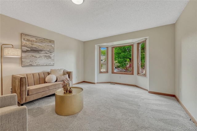 19149 E Ida Dr, Aurora, CO 80015 - living room with carpet flooring, a textured ceiling, and baseboards