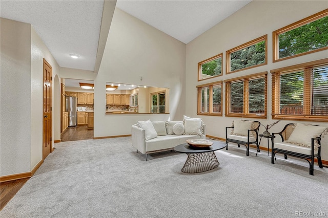 19149 E Ida Dr, Aurora, CO 80015 - living room with healthy amount of natural light, baseboards, carpet flooring, and high vaulted ceiling