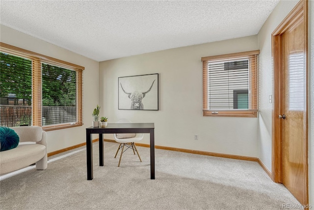 19149 E Ida Dr, Aurora, CO 80015 - carpeted office with plenty of natural light, baseboards, and a textured ceiling