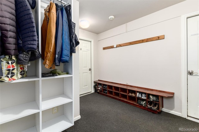mudroom featuring carpet