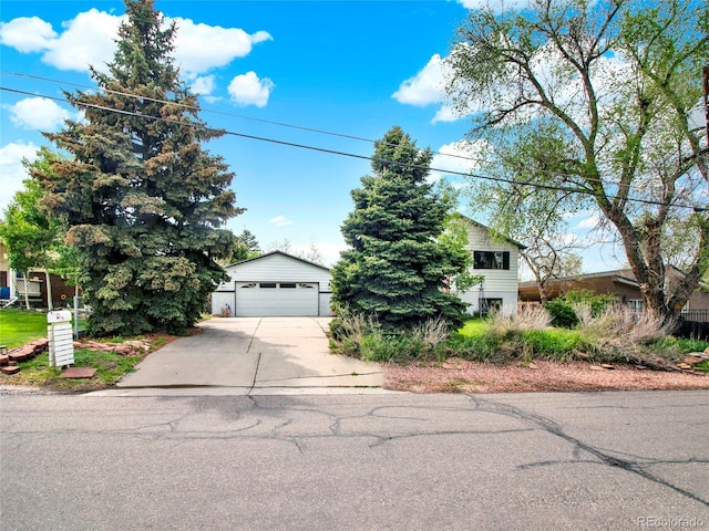 431 N Harlan St, Lakewood, CO 80226 - photo 6