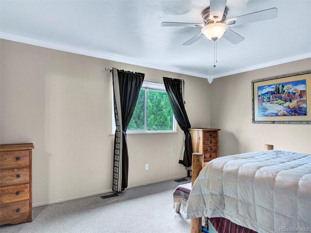 431 N Harlan St, Lakewood, CO 80226 - photo 13