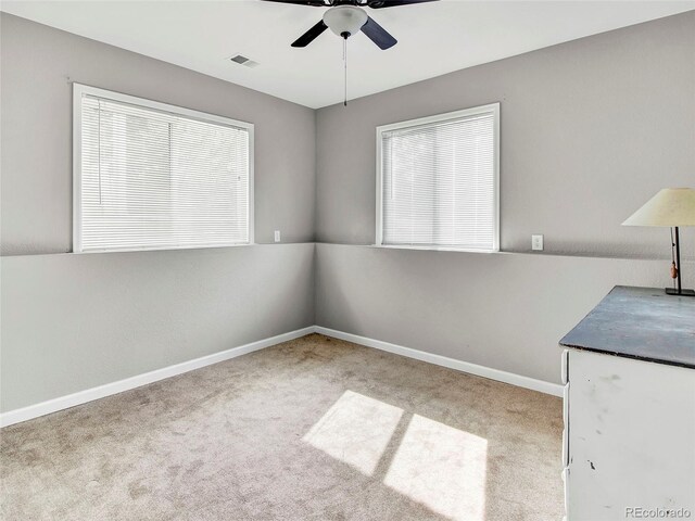 431 N Harlan St, Lakewood, CO 80226 - photo 23