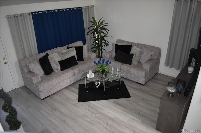 living room with wood finished floors