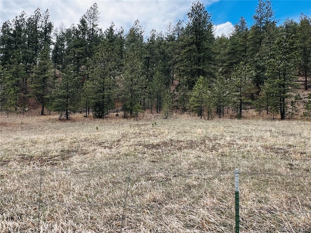 Listing photo 2 for LOT36 Logging Canyon Rd, Weston CO 81091