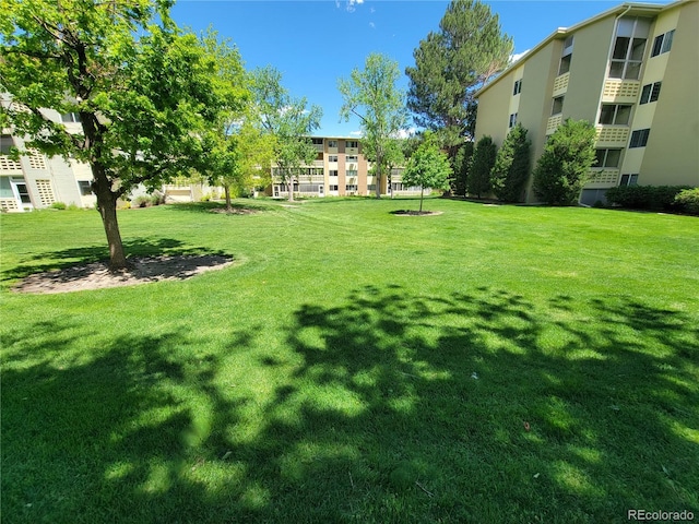 715 S Alton Way Unit 10A, Denver, CO 80247 - view of community featuring a yard