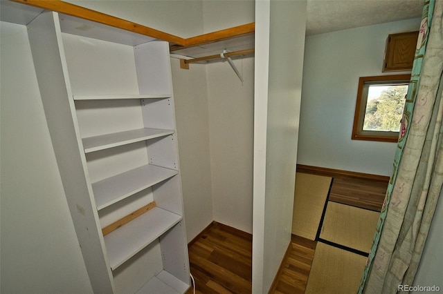 spacious closet featuring dark hardwood / wood-style floors