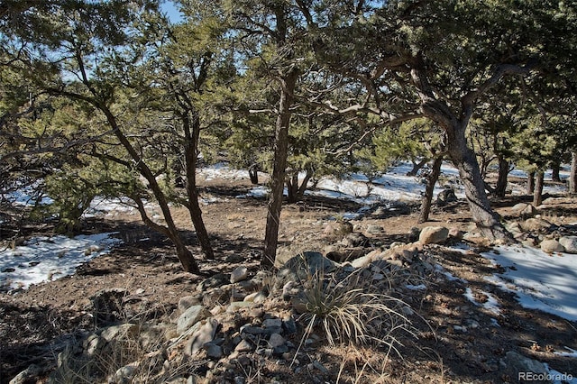 3585 Al Fresco Way, Crestone, CO 81131 - photo 42