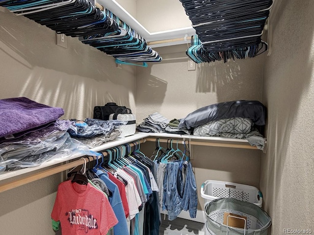 view of spacious closet