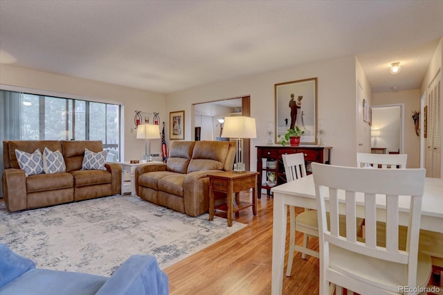 living room featuring a textured ceiling and light hardwood / wood-style floors