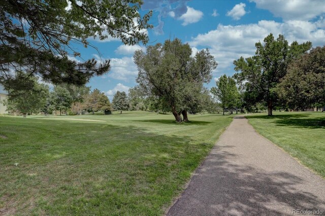 surrounding community featuring a yard