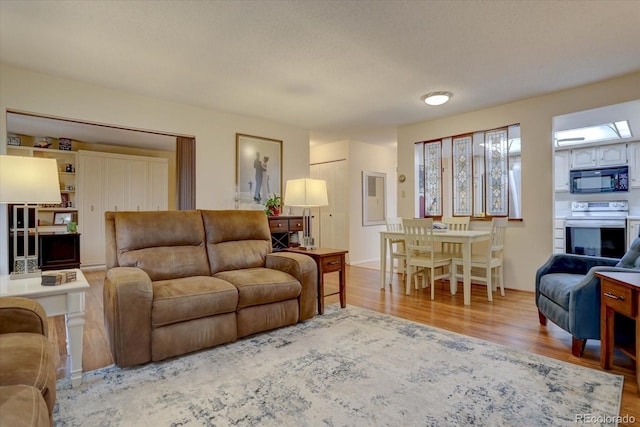 living room with wood finished floors